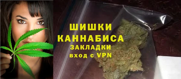 Альфа ПВП Аркадак