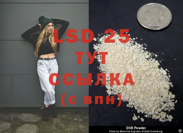 Альфа ПВП Аркадак