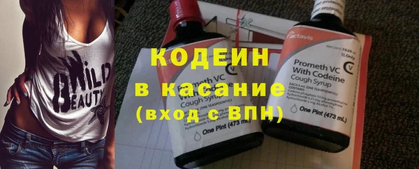 дмт Арсеньев