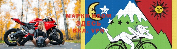 Альфа ПВП Аркадак