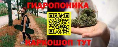 спиды Новозыбков