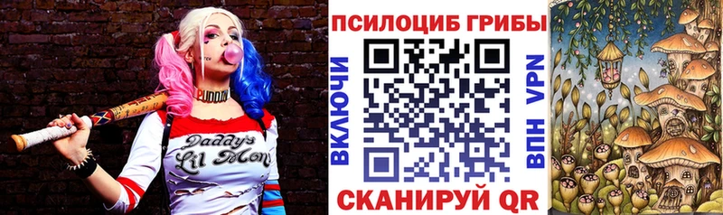 Псилоцибиновые грибы GOLDEN TEACHER  Балтийск 