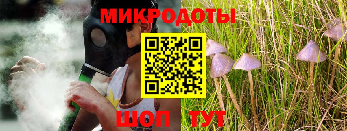 Псилоцибиновые грибы мицелий Балтийск